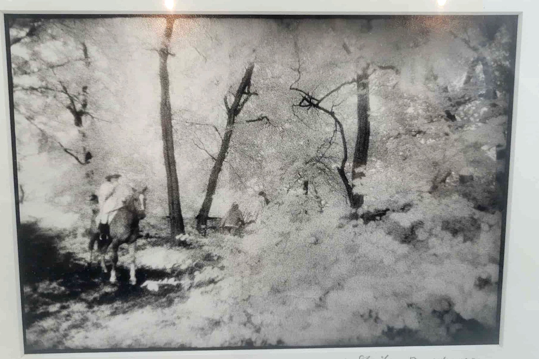 tableau Sheila David 1989