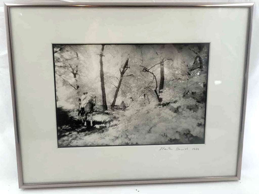 tableau Sheila David 1989