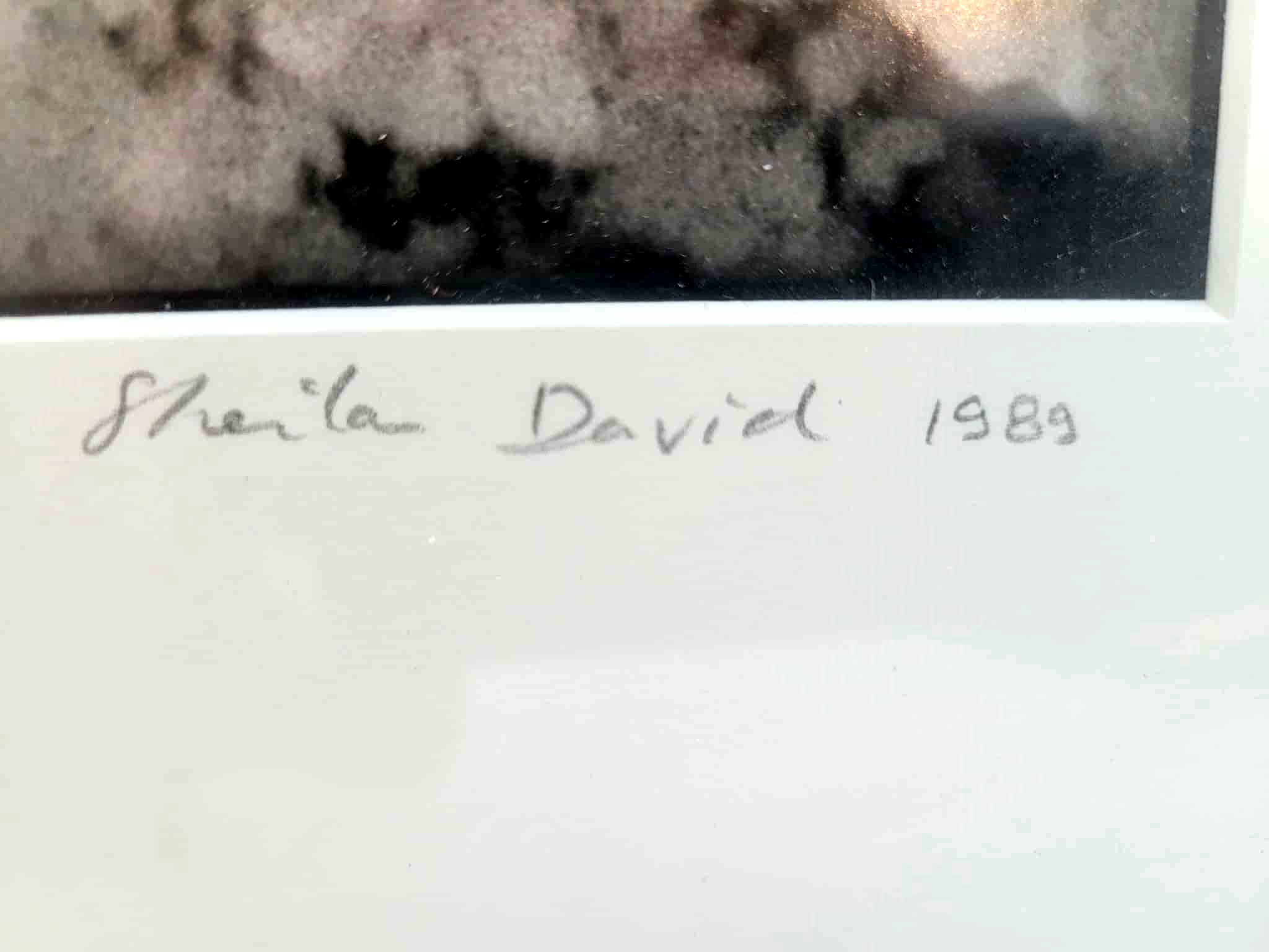 tableau Sheila David 1989