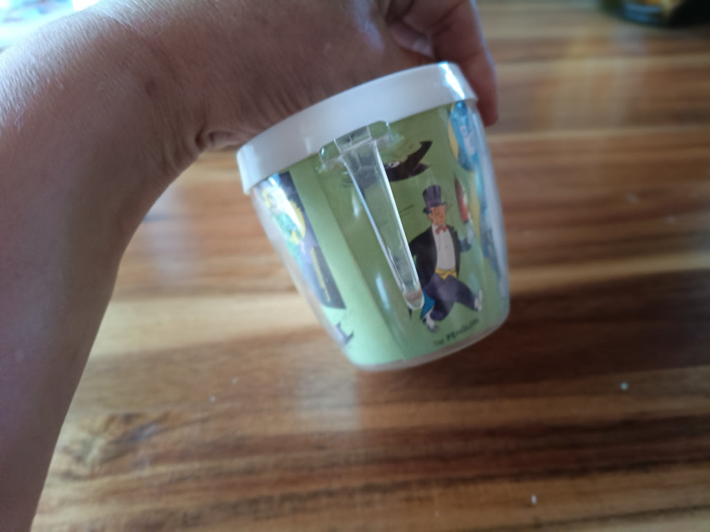 LOT VINTAGE : 2 Tasses Isothermes Batman & Robin (1966)